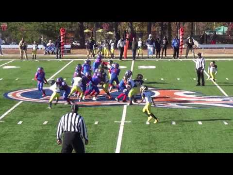 TwinSportsTV: Ben Hill Tigers vs. Cascade Wolverines (9U MAYFL Championship Game)
