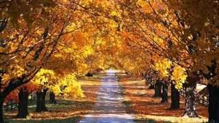 PARADISE LOST -  SPIRIT