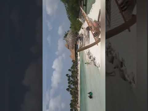ARUBA ISLAND LITTLE PARADISE 🤩🤩🤩🤩