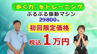 【せいいっぱい価格】夢グループ税込1万円集
