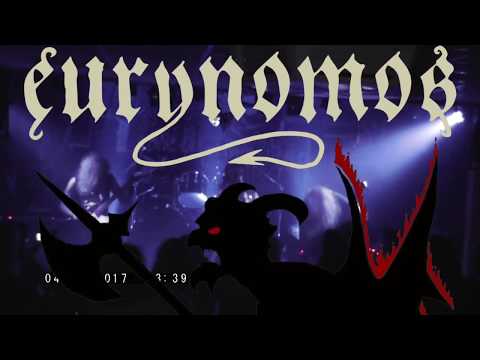 EURYNOMOS  Alive in Donnerheim (Krölpa) 4th November 2017