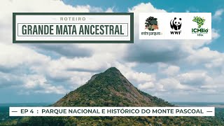 Miniatura do vídeo