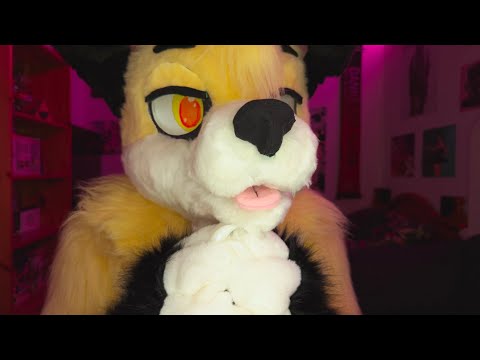 Yup... You're Still A Good Boy | Furry ASMR