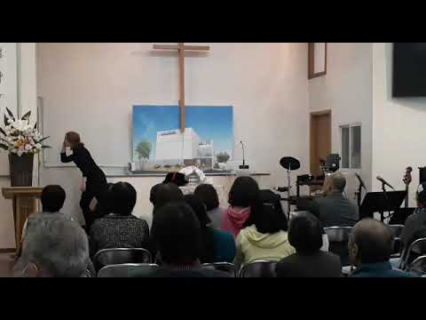 WhatsApp Video 2019 02 06 at 22 55 00