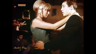 Adamo Mes mains sur tes hanches (scopitone de 1965)