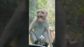 Feel Lord Ram’s divine blessings. I wish you and your family .. #ramnavami