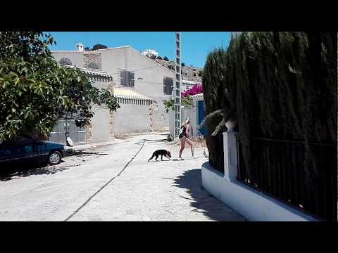 La Almazara en Cortijo Grande. Sierra Cabrera