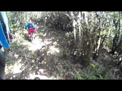 Fanal Ribeira Funda Trail