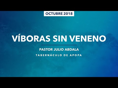 0976 | Víboras sin veneno | Hechos 28:1-10 | Pastor Julio Abdala | 241018