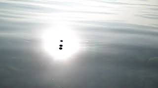 Peter Gabriel - I Go Swimming