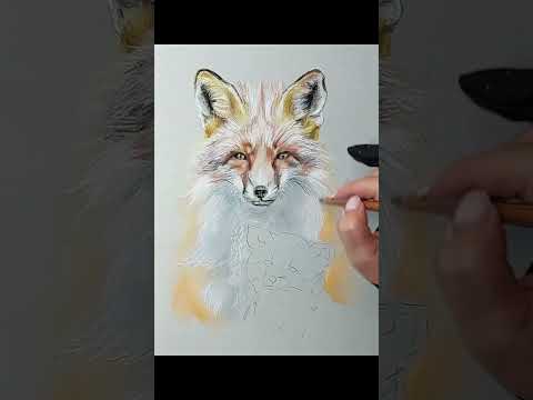  Proces   my pastels