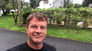 The Best Hour of My Day. Featuring KrizAkoni!