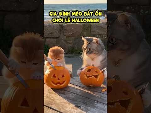 Gia đình mèo bất ổn chơi lễ halloween 💀🤡👻