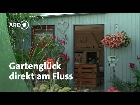 An allotment garden directly on the Saale River | MDR Garden