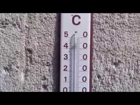 Hund im Backofen Todesfalle Hitzefalle AUTO Rettet Tiere aus tödlichen Autos