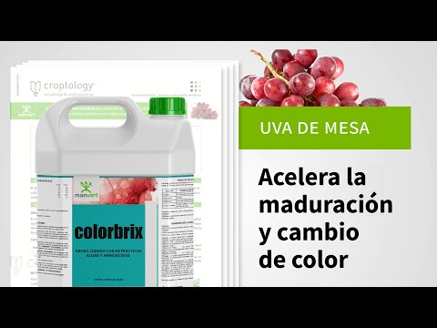 , title : 'manvert colorbrix: acelera la maduración y cambio de color en uva'