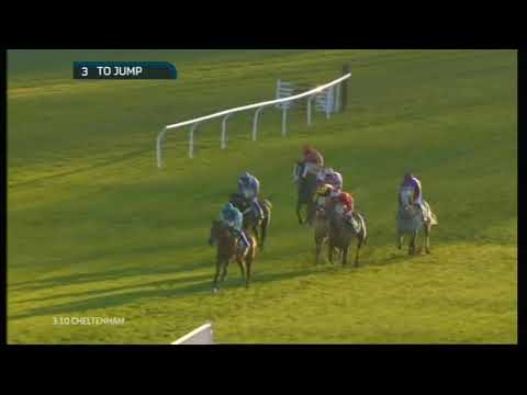 2014 International Hurdle