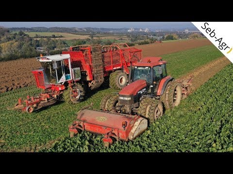 😱 De l'arrachage de betteraves au semis / Made in Belguim ⚠️/ Seb-Agri