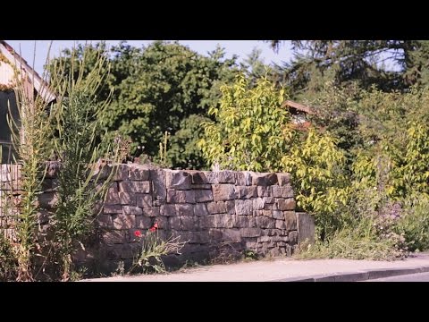 NaturGarten e.V. - Naturnaher Garten für Wildpflanzen und heimische Tiere