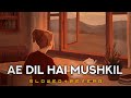 Ae Dil Hai Mushkil (LO-FI) - Ranbir,Anushka,Aishwarya | Arijit | Pritam | Viral Lofi