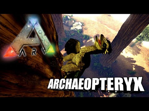 Taming A Archaeopteryx | Ark Survival Evolved | The Island