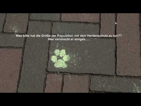 Wolfsmanagement - Deutscher Bundestag - 19. 12. 2019 - Auszüge und Gedanken hierzu