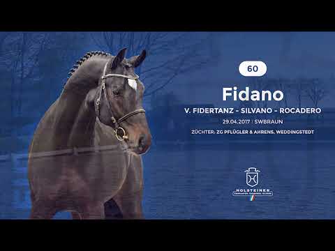 Trainingsimpressionen - Fidano unter Lukas Fischer