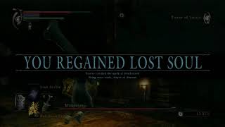 Doubled Back - Let's Play Demon's Souls Part 114
