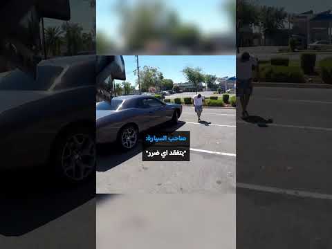 دراج يصطدم مع الطف رجل!