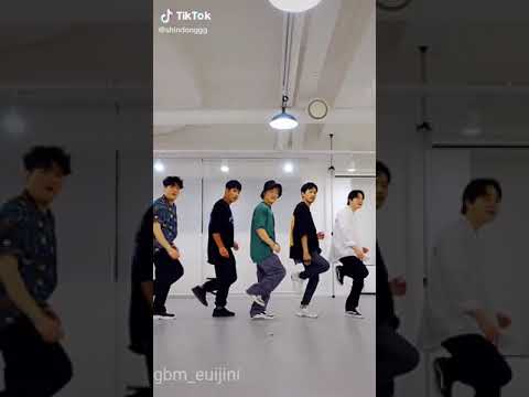 Lee Euijin and Super Junior Shindong (Tiktok Video Compilation)