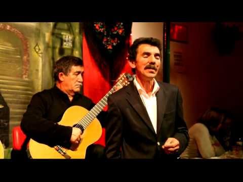 João Silva, "Fado Oliveira" - "A rosa que eu desfolhei"