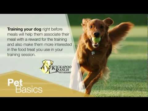 ZipCast - Kickapoo Ranch - TIP FS02 15sec