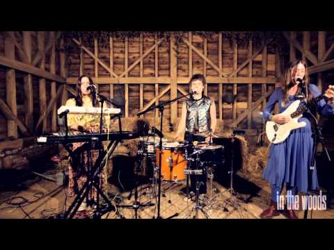 Stealing Sheep - 'Rearrange' - In The Woods Barn Sessions