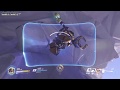 Rein Helicopter Overwatch