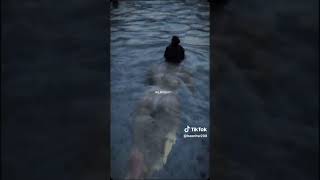 Ngon #trending #trend #trendingshorts #shorts #tiktok #gaixinhtiktok #viralshorts #reels #cute