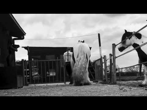 Tinkerstal van de Acht Zaligheden