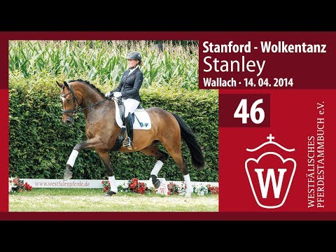 46 Stanley Wallach v. Stanford  - Wolkentanz
