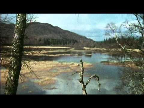 Catching The Impossible Trailer 7 - Close to Nature