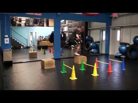 N.Y. Islanders, NHL enforcer, Trevor Gillies Martial Arts fitness in Augusta GA.