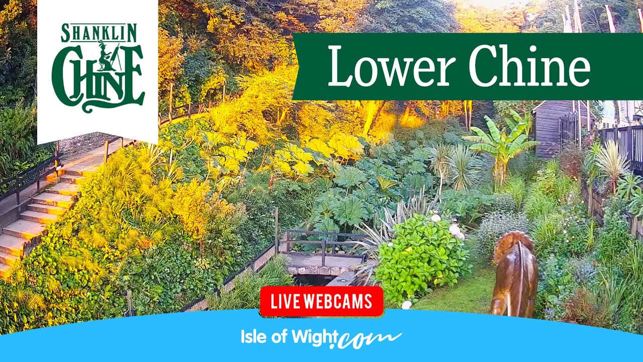 🔴 Shanklin Chine Webcam - Lower Chine | Isle of Wight | LIVE UK Webcams