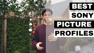 The best Picture Profiles on Youtube