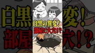 白黒写真の異変… #VTuber #ゲーム実況 #スマホゲーム #あーるくん