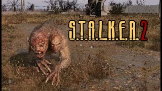 26 初心者向け解説動画『S.T.A.L.K.E.R. 2: Heart of Chornobyl』ストーカー2：ハート・オブ・チョルノービリ　慢性びえん実況