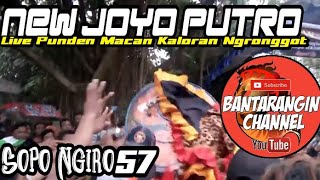 Download lagu Singo Barong PangLima - New Joyo Putro - Live Punden Kaloran Ngronggot mp3