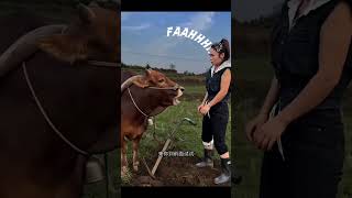 Hilarious Ox Shouts Back at Rude Owner! 🐂😂 #shorts #funnyanimals #ox