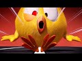 The Race | Where's Chicky? | Cartoon Collection in English for Kids | New episodes