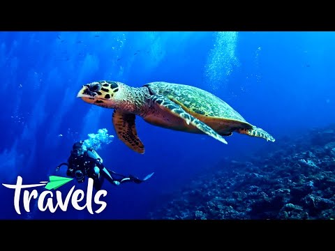 Os 10 melhores destinos de mergulho do mundo