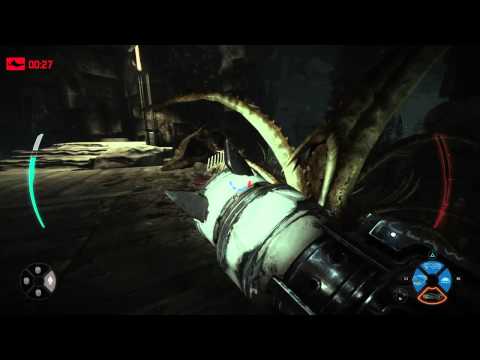 Worlds Top Trapper EVOLVE leothelion562 get away video