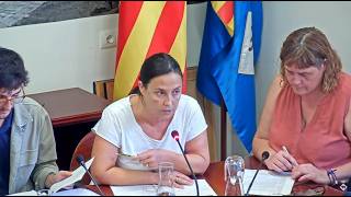 Ple extraordinari de 7 d'octubre de 2026