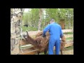 Wwoofing at Heaven's Gate Alberta/Rocky ...